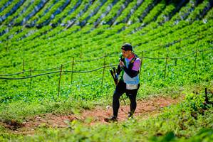 BIB: 2867
                            <button type="button" onclick="openModal(19163474)" class="btn btn-primary btn-sm float-right btn-popup" data-toggle="modal" data-target=".modal-high-quality">
                        <i class="fas fa-shopping-cart"></i> Add to Cart
                    </button>
                                            <button type="button" onclick="isThisMe(19163474, true)" class="btn btn-success btn-sm float-right btn-popup btn-isme hidden" data-toggle="tooltip" data-placement="bottom" title="นี่คือรูปของคุณใช่ไหม คลิกที่นี่เพื่อเอาเข้าอัลบั้ม">
                        <i class="fas fa-plus"></i> Add to album
                    </button>
                    <button type="button" onclick="isThisMe(19163474, false)" class="btn btn-warning btn-sm float-right btn-popup btn-isnotme hidden">
                        <i class="fas fa-ban"></i> Remove from album
                    </button>